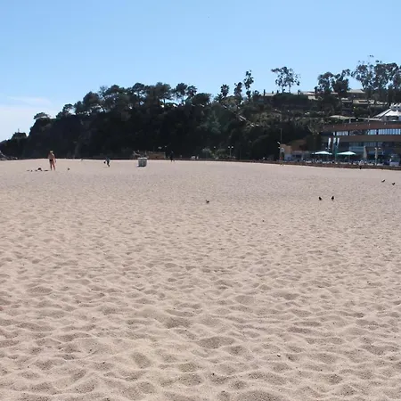 Piso Andrea Apartamento