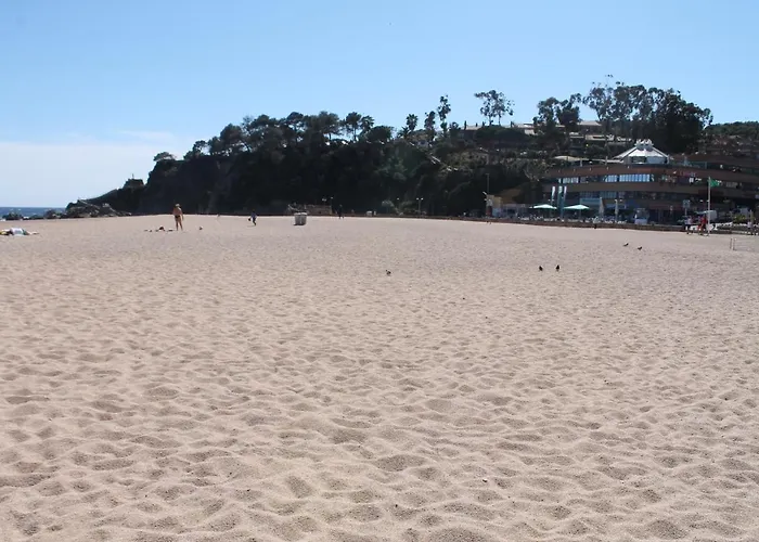 Piso Andrea Appartement